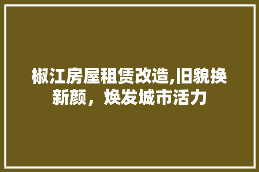 椒江房屋租赁改造,旧貌换新颜，焕发城市活力 装修材料