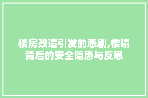 楼房改造引发的悲剧,楼塌背后的安全隐患与反思 装修材料