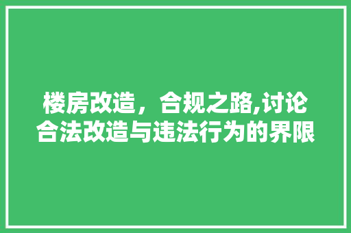 楼房改造，合规之路,讨论合法改造与违法行为的界限 庭院装修