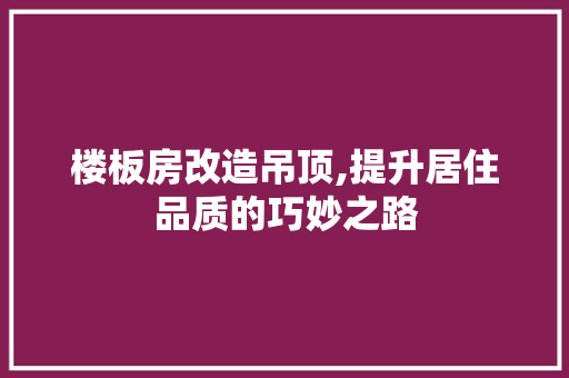 楼板房改造吊顶,提升居住品质的巧妙之路 门窗装修