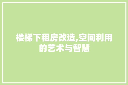 楼梯下租房改造,空间利用的艺术与智慧 门窗装修