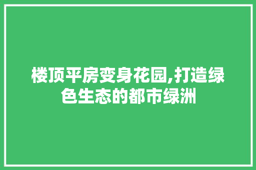 楼顶平房变身花园,打造绿色生态的都市绿洲 墙面装饰