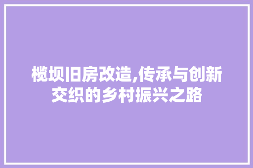 榄坝旧房改造,传承与创新交织的乡村振兴之路 隔断设计