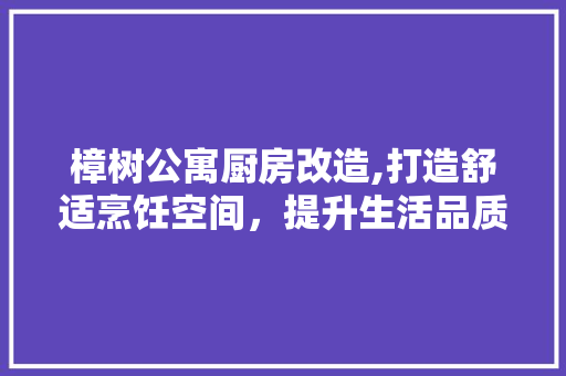 樟树公寓厨房改造,打造舒适烹饪空间，提升生活品质