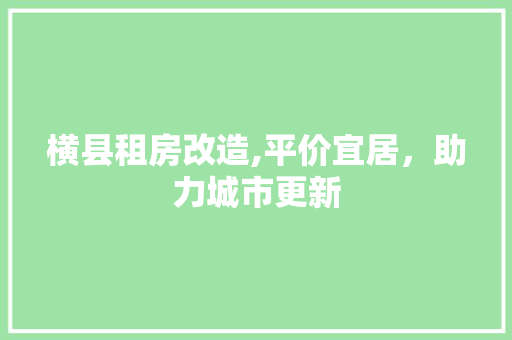 横县租房改造,平价宜居，助力城市更新 装修材料