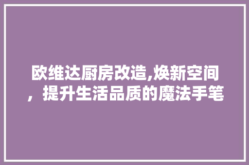 欧维达厨房改造,焕新空间，提升生活品质的魔法手笔 装修攻略
