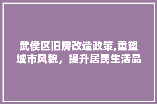 武侯区旧房改造政策,重塑城市风貌，提升居民生活品质