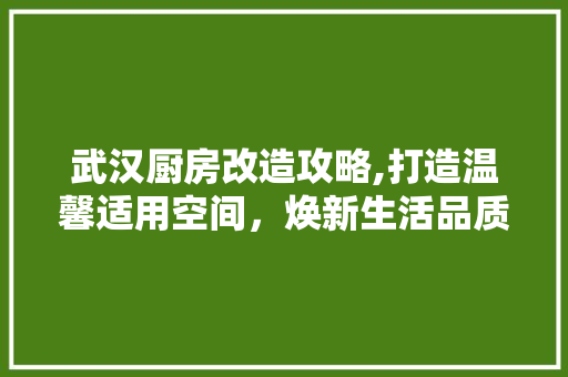 武汉厨房改造攻略,打造温馨适用空间，焕新生活品质 景观设计