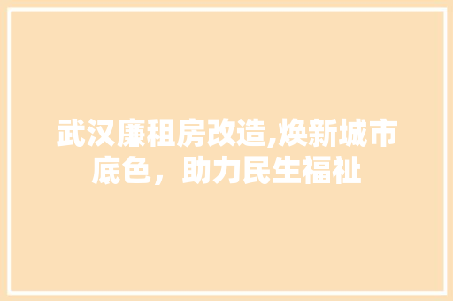 武汉廉租房改造,焕新城市底色，助力民生福祉 墙面装饰