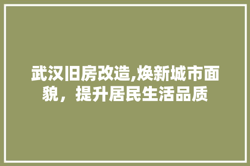 武汉旧房改造,焕新城市面貌，提升居民生活品质 地面装修