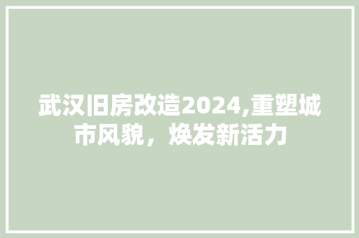 武汉旧房改造2024,重塑城市风貌，焕发新活力