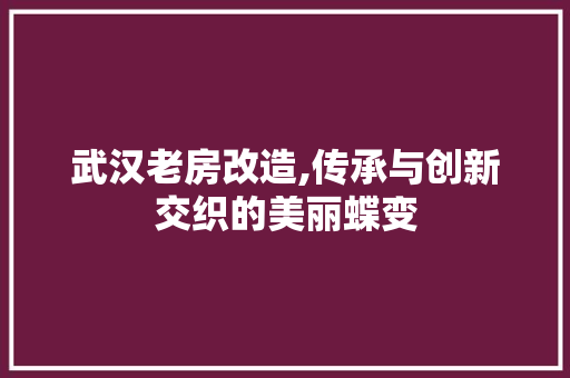武汉老房改造,传承与创新交织的美丽蝶变
