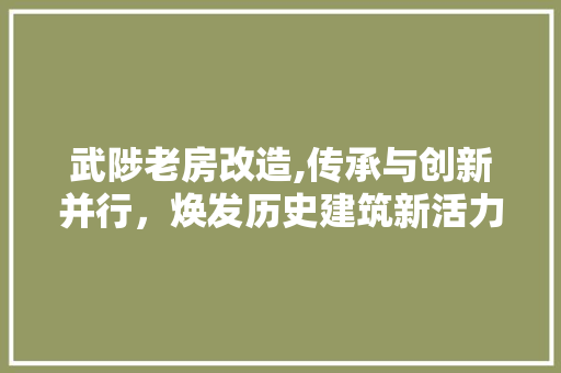 武陟老房改造,传承与创新并行，焕发历史建筑新活力