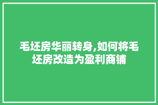 毛坯房华丽转身,如何将毛坯房改造为盈利商铺 庭院装修