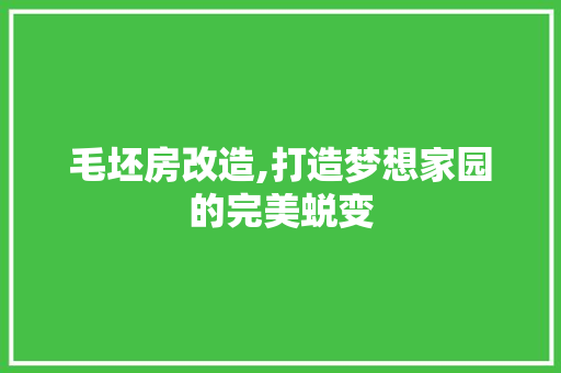 毛坯房改造,打造梦想家园的完美蜕变