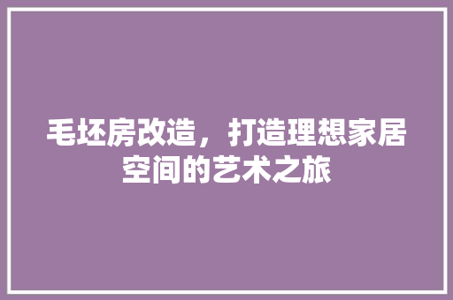毛坯房改造，打造理想家居空间的艺术之旅