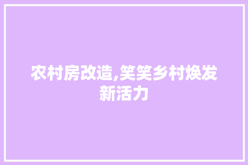 农村房改造,笑笑乡村焕发新活力 建筑设计