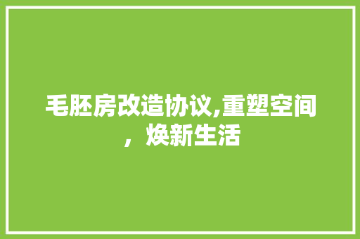 毛胚房改造协议,重塑空间，焕新生活 墙面装饰