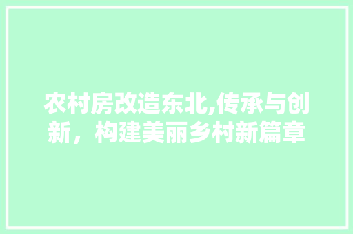 农村房改造东北,传承与创新，构建美丽乡村新篇章 装修材料