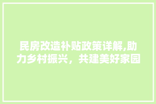 民房改造补贴政策详解,助力乡村振兴，共建美好家园 门窗装修