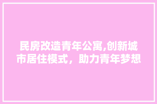 民房改造青年公寓,创新城市居住模式，助力青年梦想起航