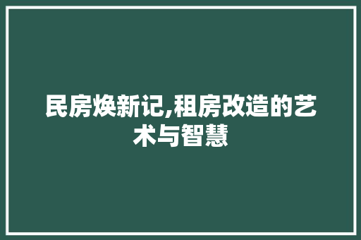 民房焕新记,租房改造的艺术与智慧 墙面装饰