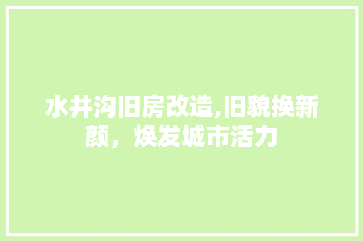 水井沟旧房改造,旧貌换新颜，焕发城市活力