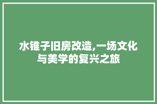 水锥子旧房改造,一场文化与美学的复兴之旅 庭院装修