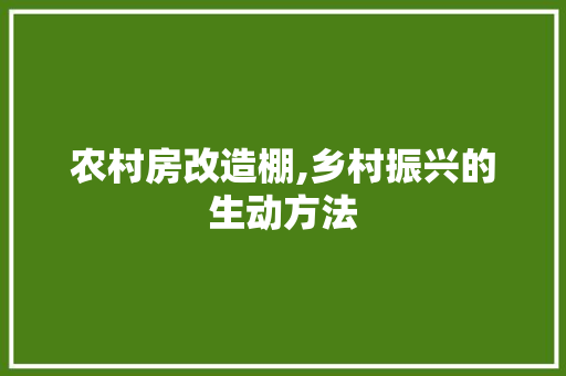 农村房改造棚,乡村振兴的生动方法 门窗装修