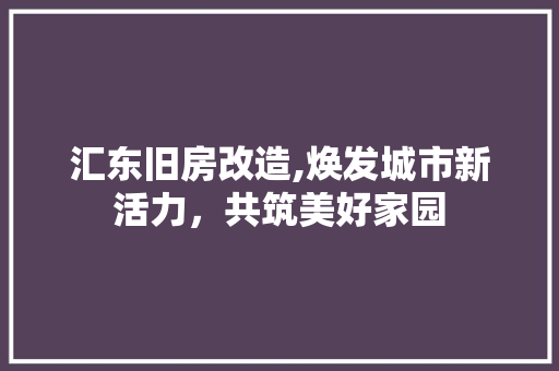 汇东旧房改造,焕发城市新活力，共筑美好家园