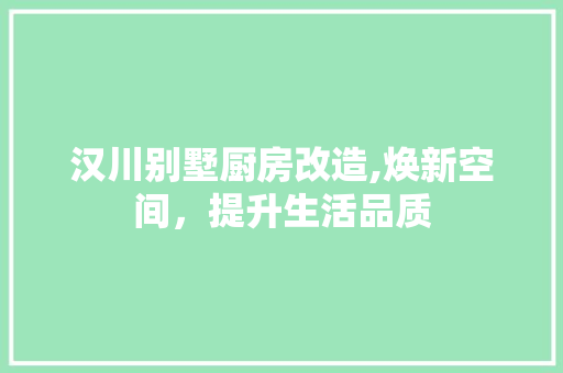 汉川别墅厨房改造,焕新空间，提升生活品质 装修材料