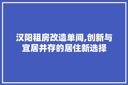 汉阳租房改造单间,创新与宜居并存的居住新选择