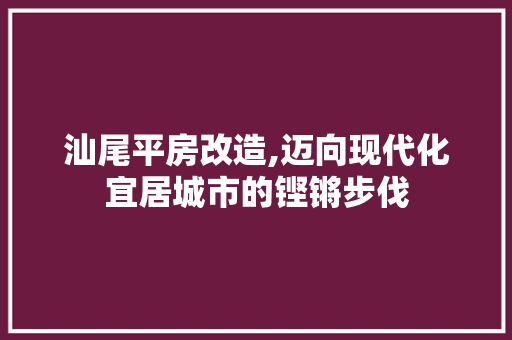 汕尾平房改造,迈向现代化宜居城市的铿锵步伐 地面装修