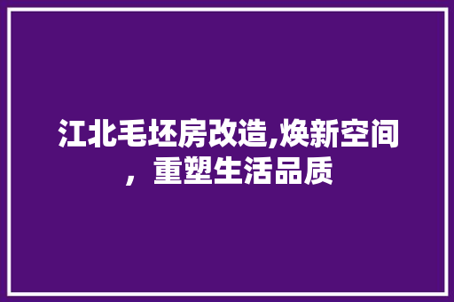 江北毛坯房改造,焕新空间，重塑生活品质 装修攻略