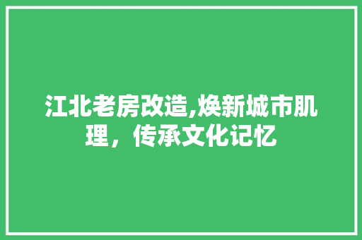 江北老房改造,焕新城市肌理，传承文化记忆 墙面装饰