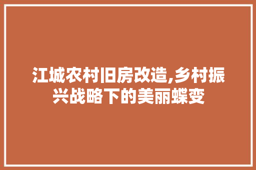 江城农村旧房改造,乡村振兴战略下的美丽蝶变 隔断设计