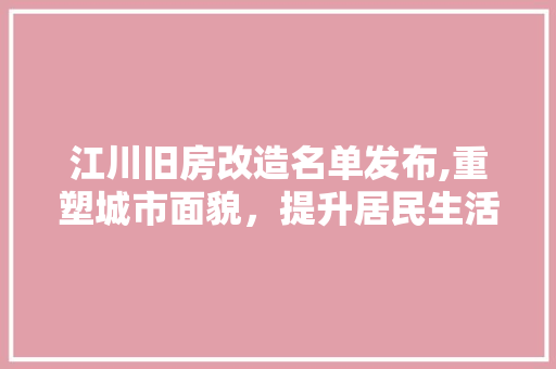 江川旧房改造名单发布,重塑城市面貌，提升居民生活品质 建筑设计