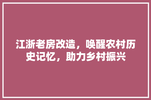 江浙老房改造，唤醒农村历史记忆，助力乡村振兴 墙面装饰