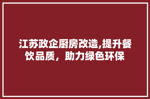 江苏政企厨房改造,提升餐饮品质，助力绿色环保