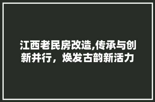 江西老民房改造,传承与创新并行，焕发古韵新活力 地面装修