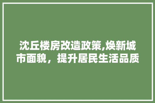 沈丘楼房改造政策,焕新城市面貌，提升居民生活品质 庭院装修