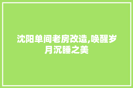 沈阳单间老房改造,唤醒岁月沉睡之美 庭院装修 沈阳单间老房改造,唤醒岁月沉睡之美 庭院装修