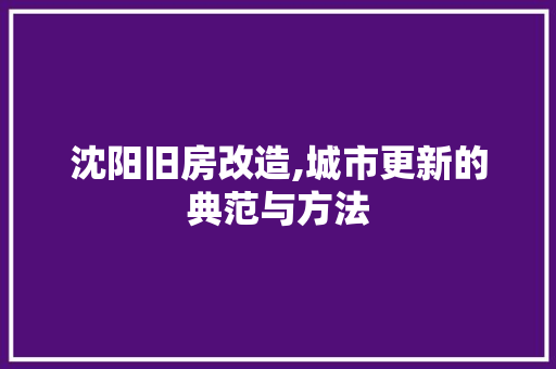 沈阳旧房改造,城市更新的典范与方法 门窗装修