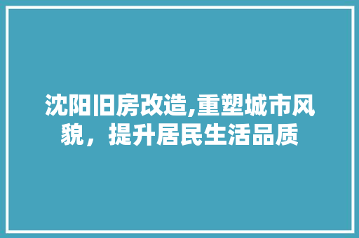 沈阳旧房改造,重塑城市风貌，提升居民生活品质