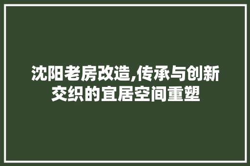 沈阳老房改造,传承与创新交织的宜居空间重塑 装修材料