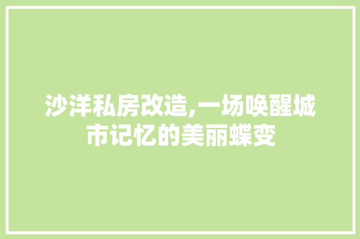 沙洋私房改造,一场唤醒城市记忆的美丽蝶变 墙面装饰