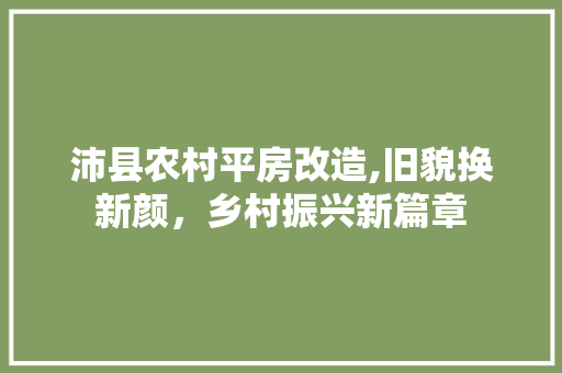 沛县农村平房改造,旧貌换新颜，乡村振兴新篇章