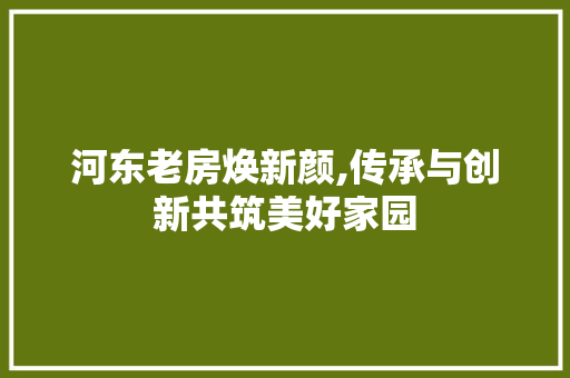 河东老房焕新颜,传承与创新共筑美好家园
