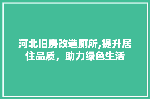 河北旧房改造厕所,提升居住品质，助力绿色生活 地面装修