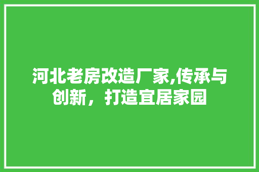 河北老房改造厂家,传承与创新，打造宜居家园 墙面装饰